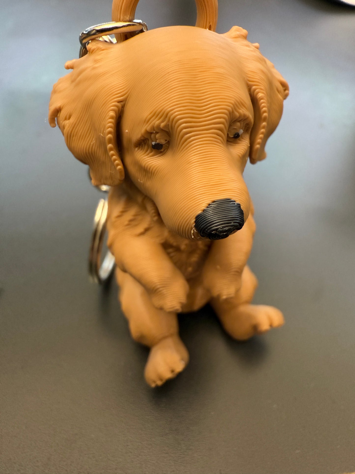 Golden retriever keychain