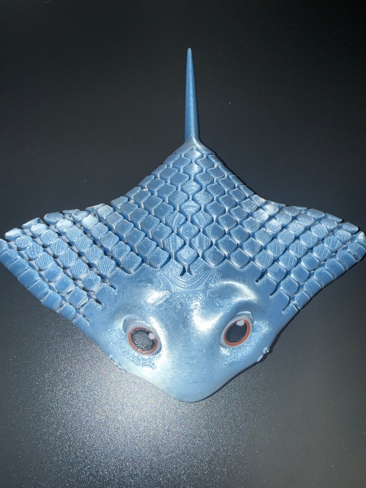 Flexi super cute stingray