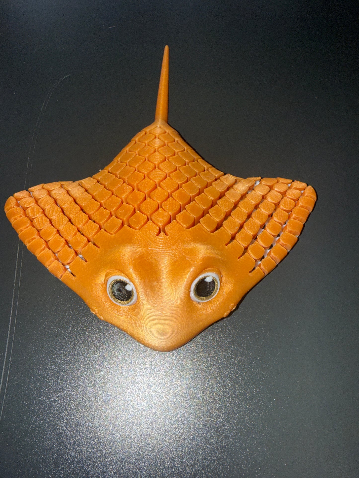 Flexi super cute stingray