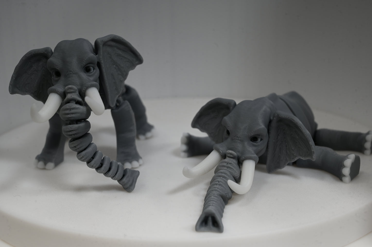 Flexi elephant with flexi trunk