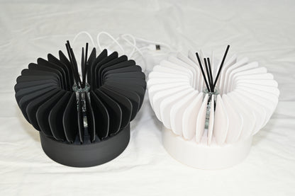 Stunning lamp with diffuser