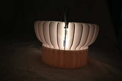 Stunning lamp with diffuser