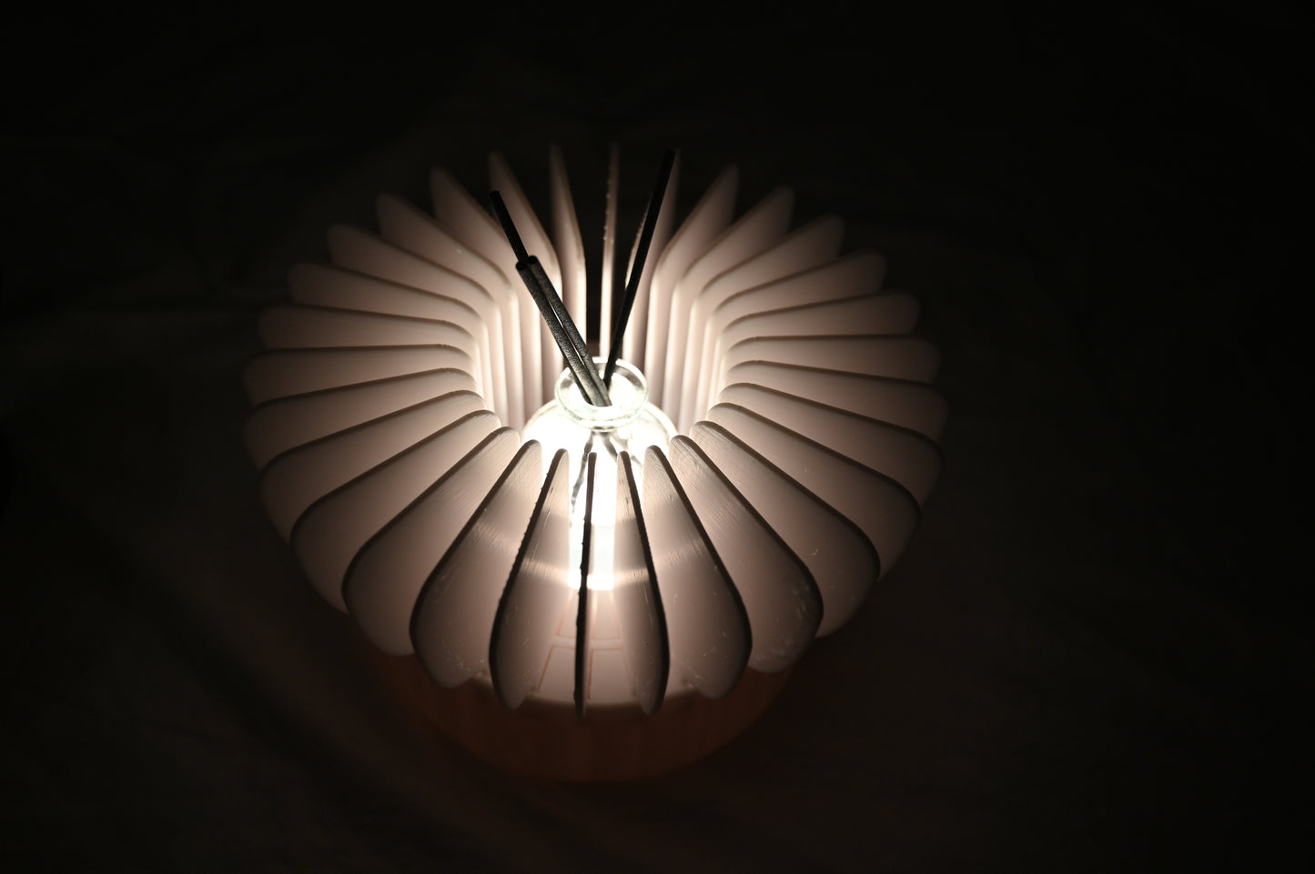 Stunning lamp with diffuser